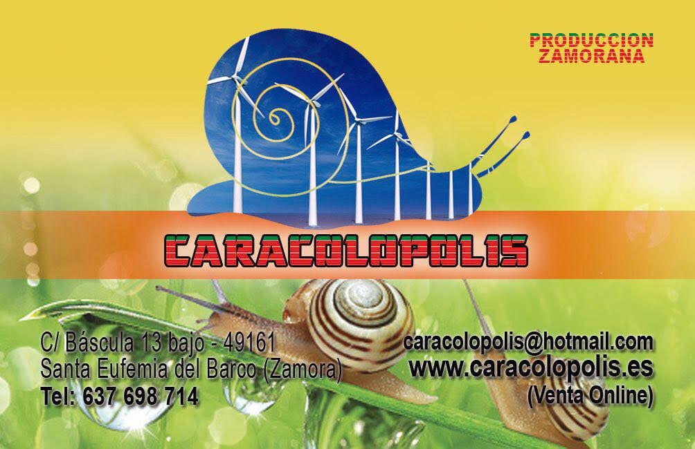 Galería de imágenes